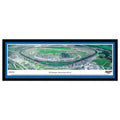 NASCAR Print P131294